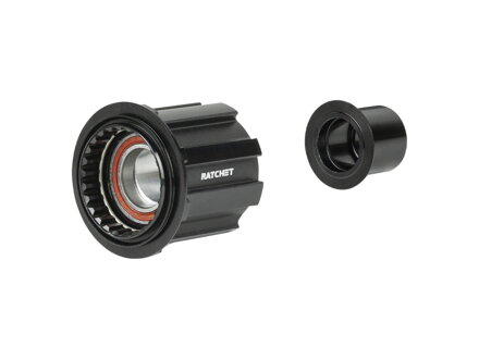 Cuerpo de rueda libre Bontrager DT240 Campagnolo N3W - Negro