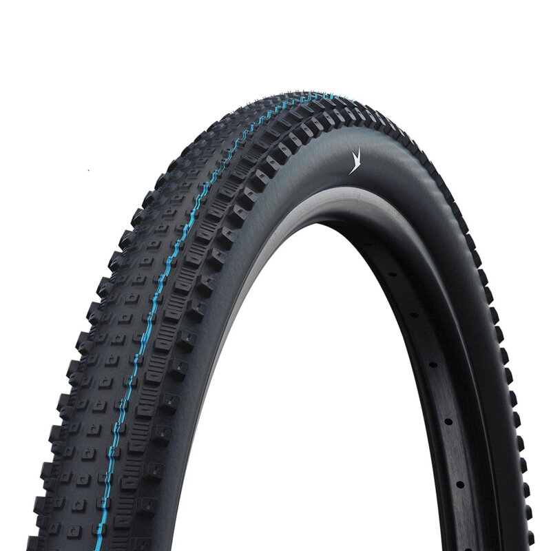 Neumático SCHWALBE RICK XC PRO (62-622) 29x2.40 Evolution 67EPI 760g Negro TLR SpeedGrip NEW25